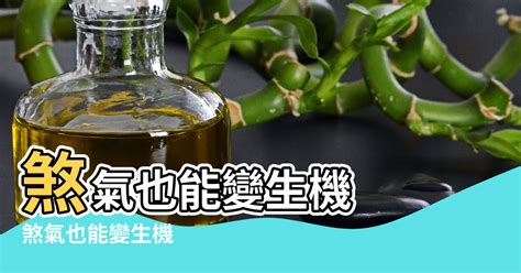 窗外有蜂巢 風水|【窗外有蜂巢】窗外有蜂巢？教你破解風水危機，遠離災禍！